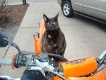 new riding partner 010.jpg